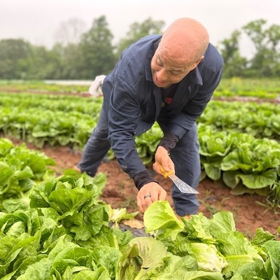 Food & Agriculture Image